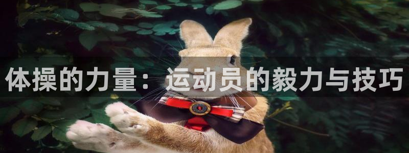 米兰体育官网下载平台注册要钱吗是真的吗：体操的力量：