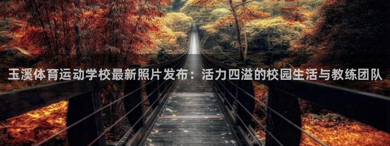米兰体育官方正版app娱乐是那个系列的台子