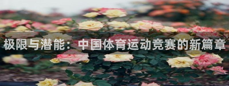 米兰体育官方正版app集团官网网址