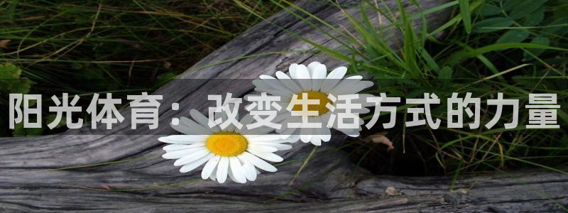 米兰体育官方正版app集团官网首页网址