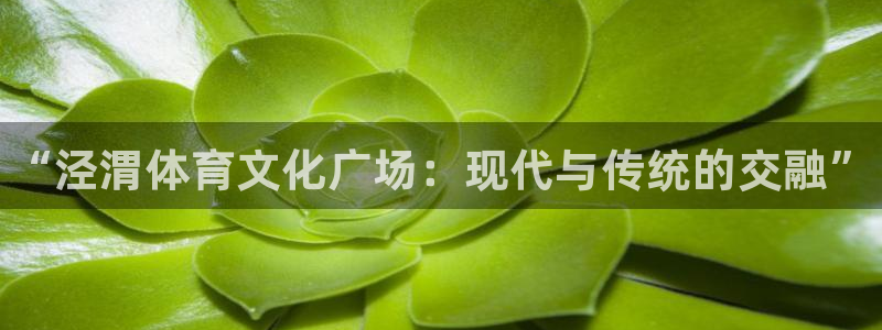 米兰体育官方正版app娱乐首页官网下载：“泾渭体育文化广场：