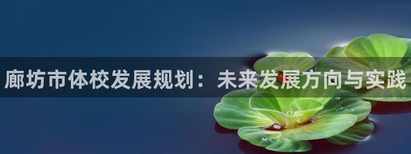 米兰体育官方正版app五金厂：廊坊市体校发展规划：未