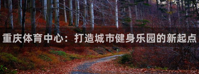 米兰体育官方正版app集团：重庆体育中心：打造城市健