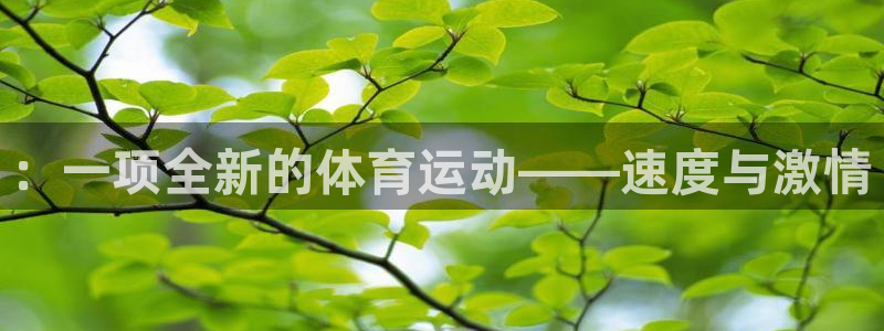 米兰体育官方正版app集团logo：：一项全新的体育