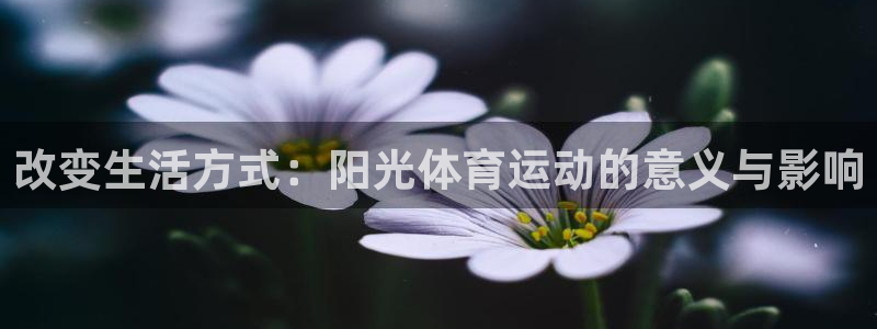 米兰体育官网下载招商电话号码查询是多少：改变生活方式