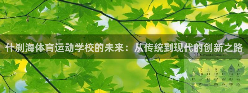 米兰体育官网下载平台注册流程视频：什刹海体育运动学校