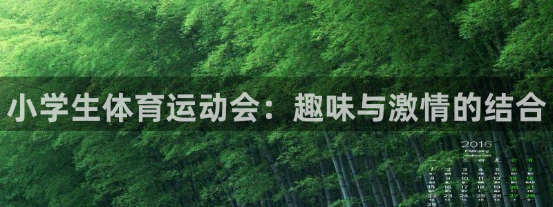 米兰体育官方正版app开户：小学生体育运动会：趣味与