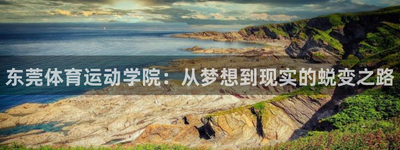 德国米兰体育官方正版app集团：东莞体育运动学院：从