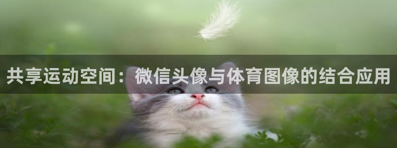 米兰体育官网下载招商电话号码查询是多少：共享运动空间
