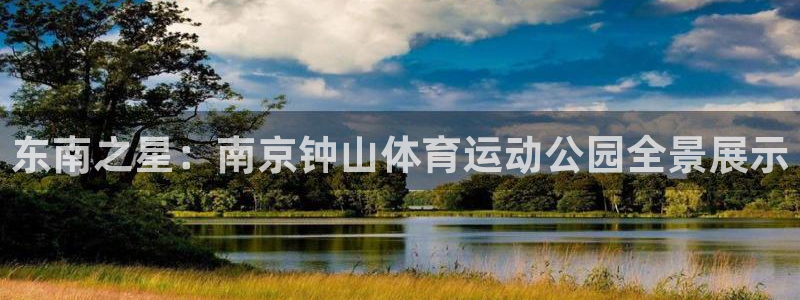 米兰体育官方正版app新能源：东南之星：南京钟山体育运动公园