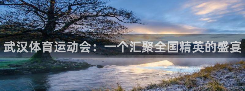 米兰体育官方集团官网：武汉体育运动会：一个汇聚全国精英的盛宴