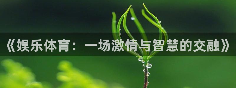 米兰体育官方正版app集团