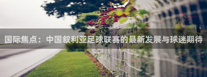 qy球友会体育网址：国际焦点：中国叙利亚足球联赛的最新发展与球迷期待