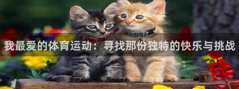米兰体育场建设计划：我最爱的体育运动