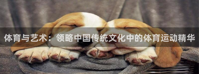 米兰体育能退钱吗知乎：体育与艺术：领