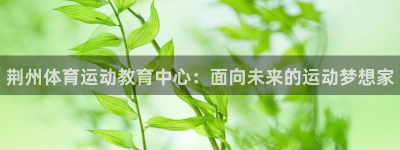 米兰体育app官网入口安卓下载：荆州