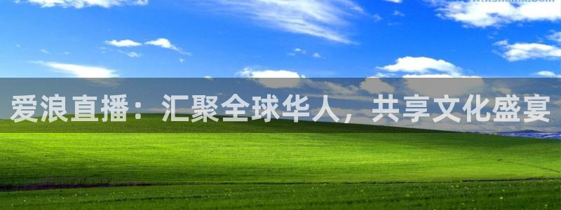 球友直播app：爱浪直播：汇聚全球华人，共享文化盛宴